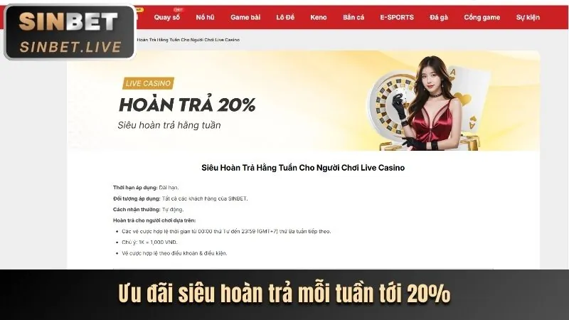 Hoàn trả hàng ngày 8k8k